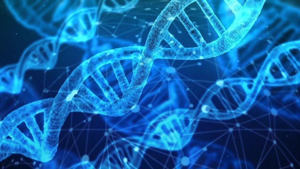 Molekuláris diagnosztikával a géntérkép felállításért